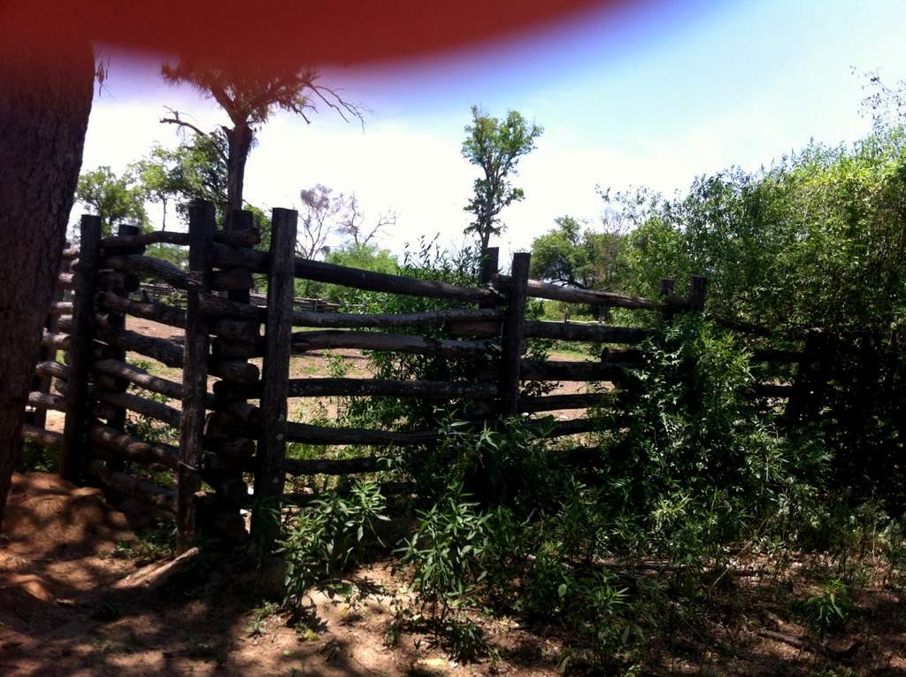 Terreno en Doble vía La Guardia en Santa Cruz de la Sierra    Foto 3