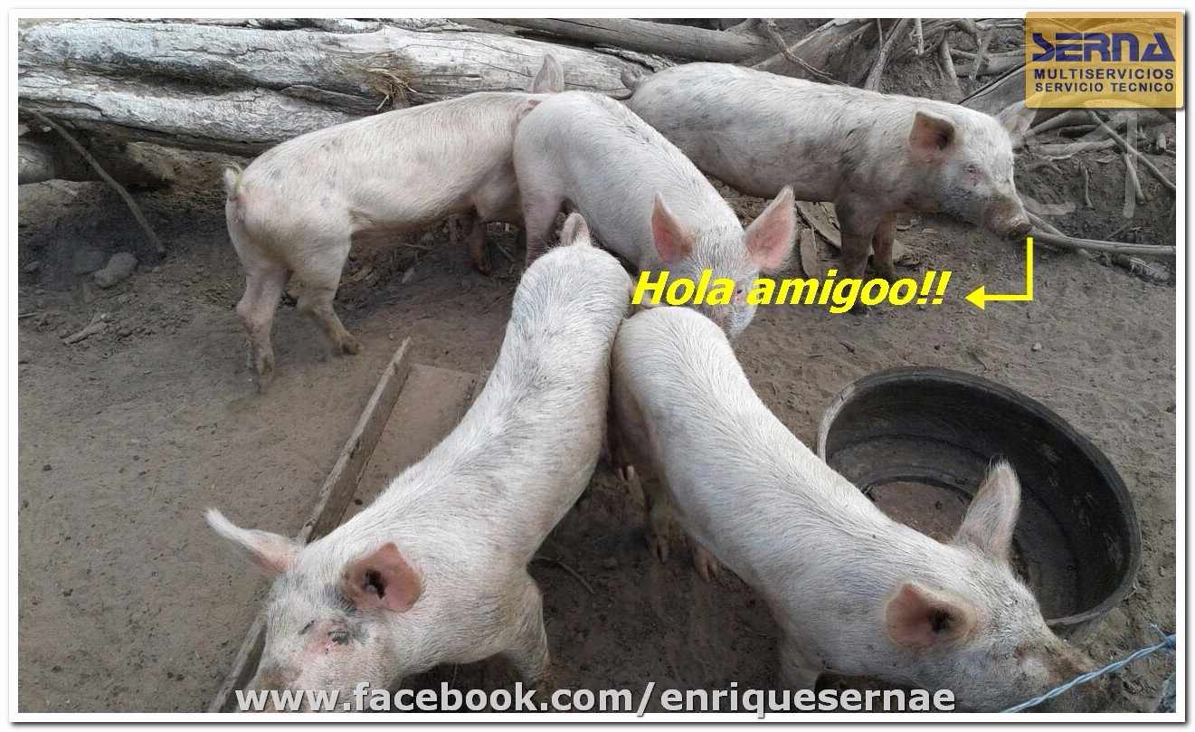 Terreno en VentaDirección:  #SantaCruz - #Bolivia, Av. 2 de Agosto pasando 1 cuadra larga el 5to anillo y doblando a la izquierda. Barrio Stevenson, Calle Stevenson Foto 5