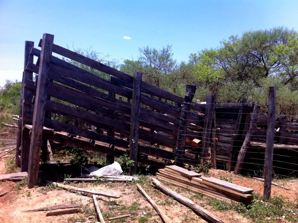 Terreno en Doble vía La Guardia en Santa Cruz de la Sierra    Foto 4