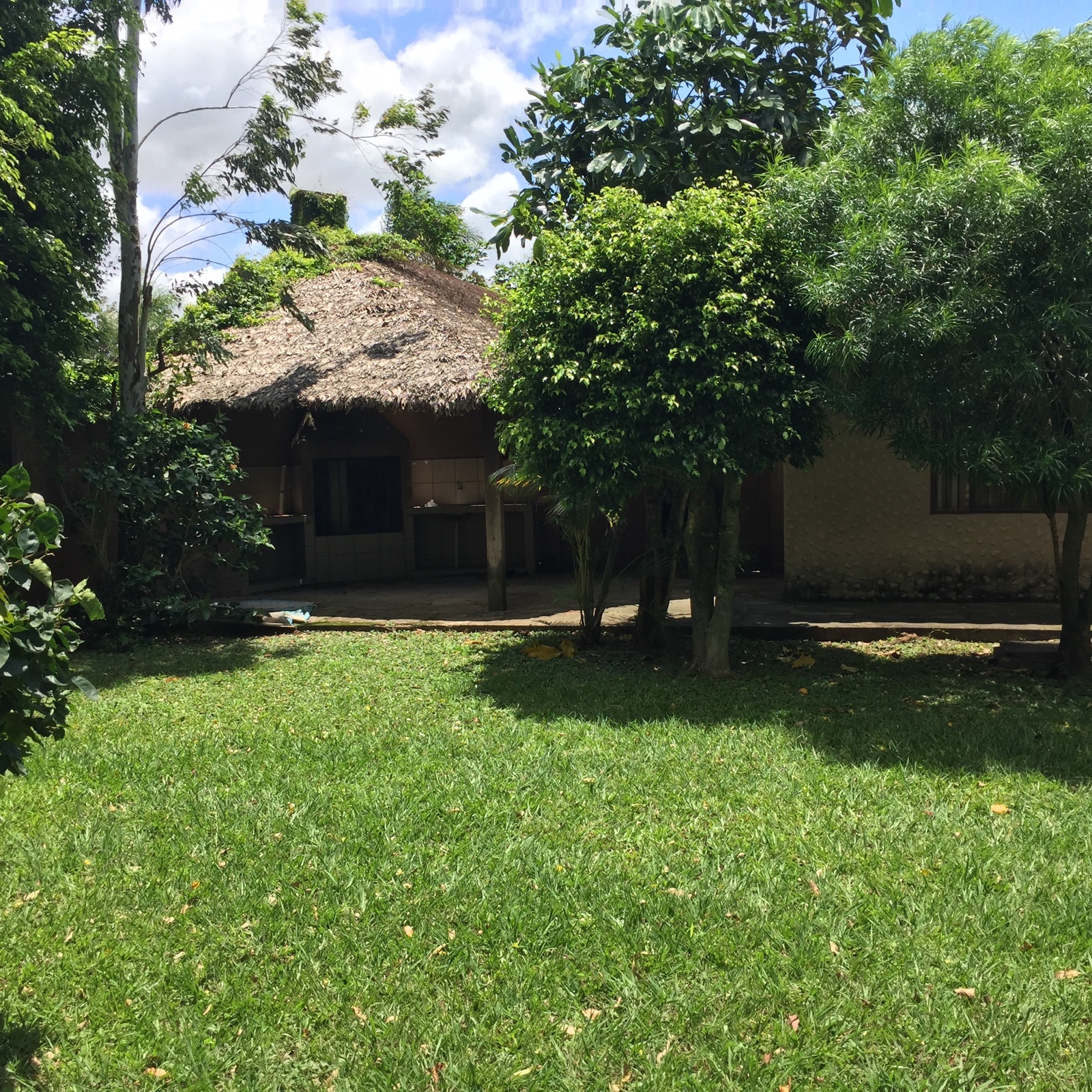 Casa en VentaHermosa Quinta en Pedro Lorenzo de 2 hectareas de terreno , con 2 cabañas de 2 dormitorios c/u con baño living comedor y cocina . Cabaña de Jatata para eventos con cocina , sala de juegos , churrasquera y bateria de baños ,  2 cabañas rusticas al ingreso de un dormitorio cocina y baño c/u . casa para el casero y flia . Hermoso bosque de pinos y eucaliptos . Ideal para sede de Fraternidades , Iglesias , como inversión para proyecto turistico -gastronomico. Foto 15