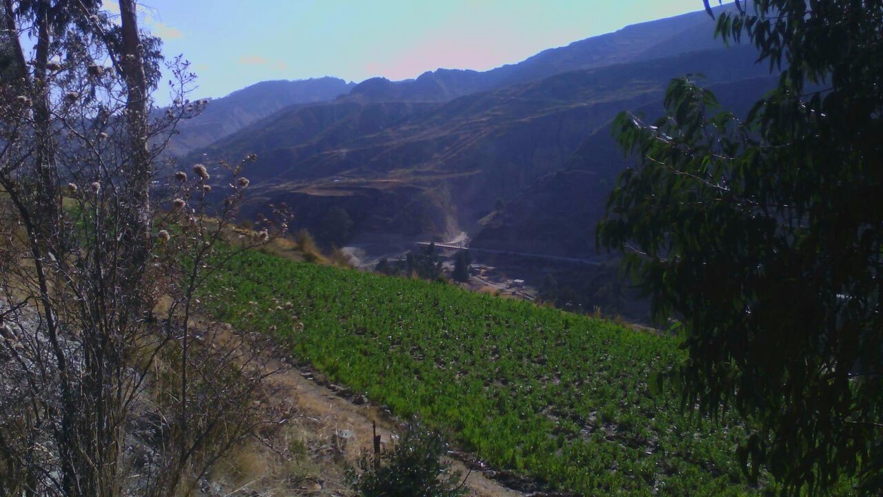 Terreno en Pampahasi en La Paz    Foto 1