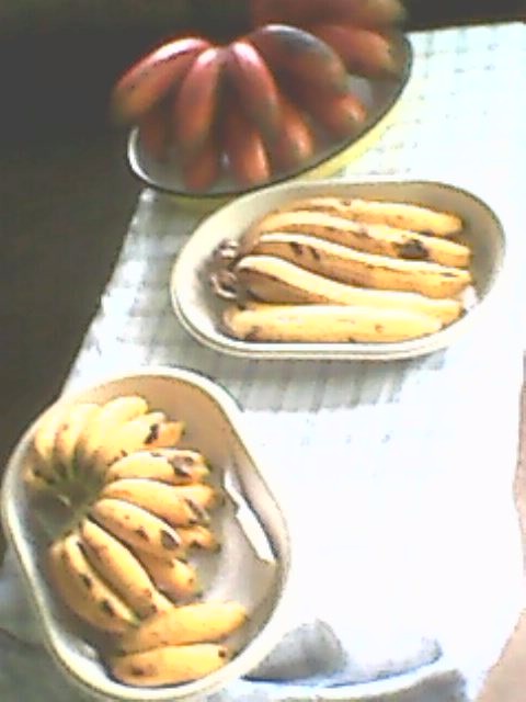 Casa Km. 95.5 carretera La Paz Caranavi, Tunahuarca, a 2.5 Km de Yolosita Foto 13