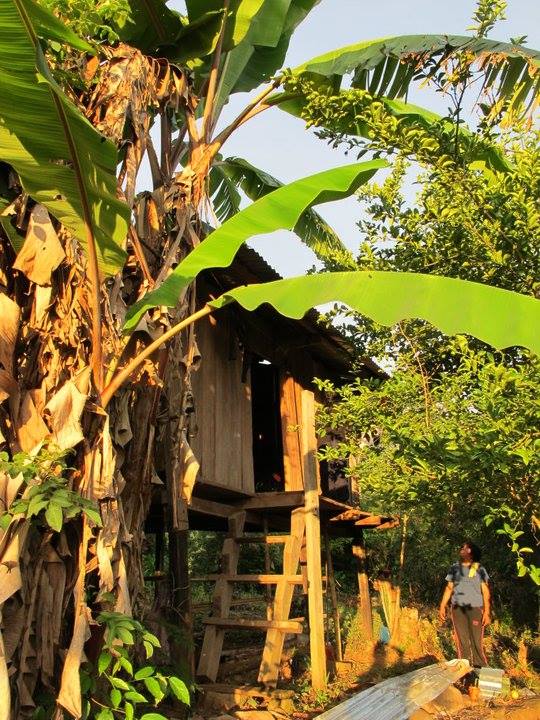 Terreno en VentaAlto Beni a 15 minutos del municipio de Palos Blancos en el Km 7, camino a Inicua Foto 1