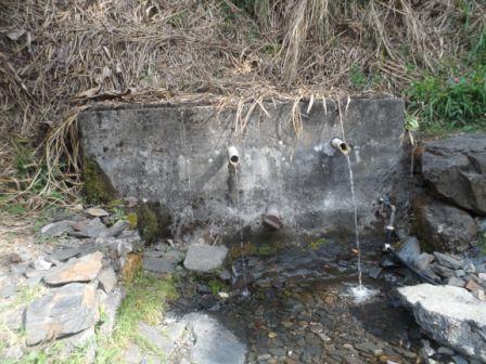 Terreno YANACAHI  Foto 8