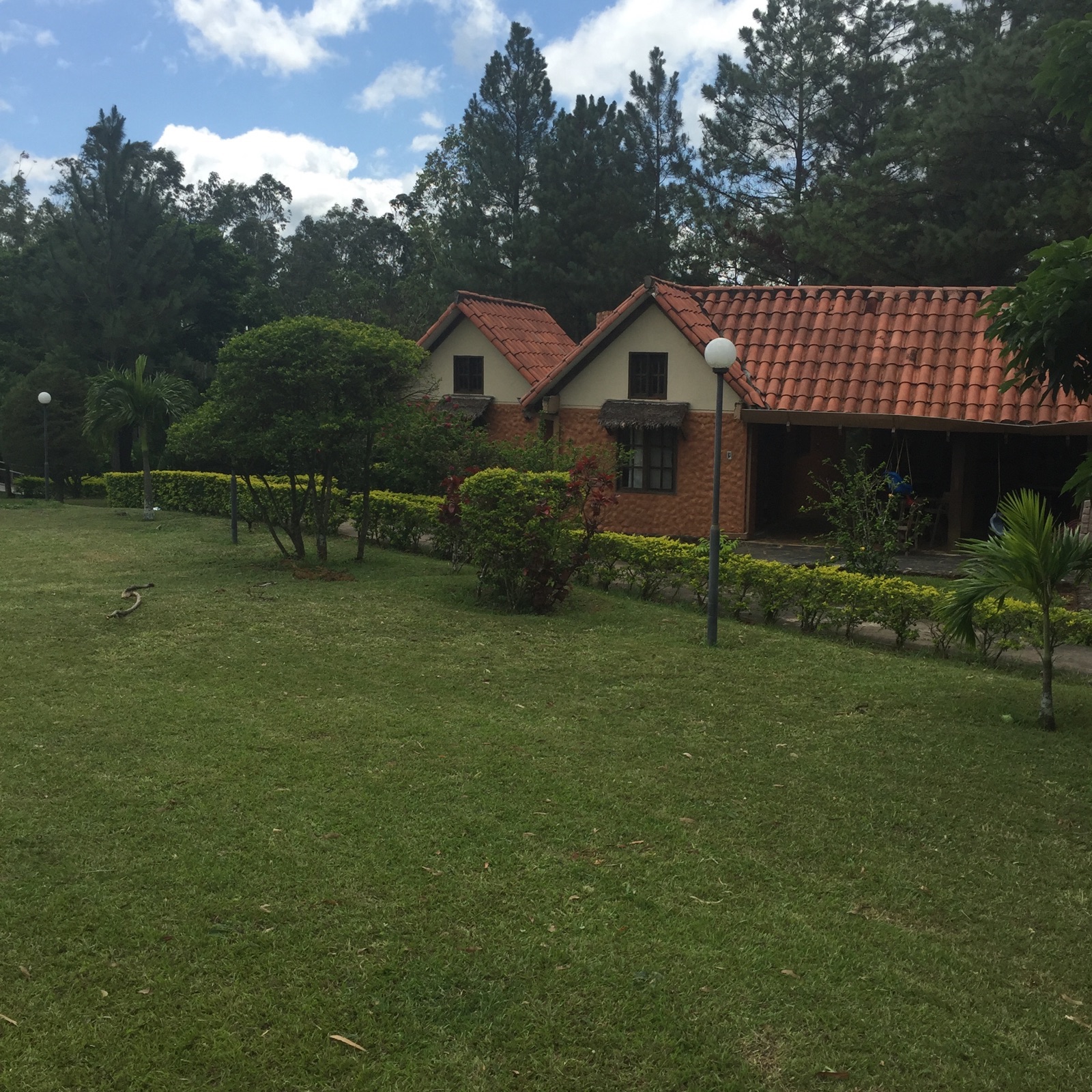 Casa en VentaHermosa Quinta en Pedro Lorenzo de 2 hectareas de terreno , con 2 cabañas de 2 dormitorios c/u con baño living comedor y cocina . Cabaña de Jatata para eventos con cocina , sala de juegos , churrasquera y bateria de baños ,  2 cabañas rusticas al ingreso de un dormitorio cocina y baño c/u . casa para el casero y flia . Hermoso bosque de pinos y eucaliptos . Ideal para sede de Fraternidades , Iglesias , como inversión para proyecto turistico -gastronomico. Foto 2