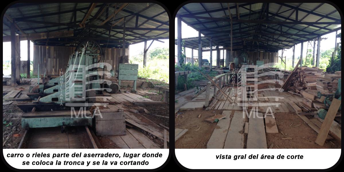 Local comercial en VentaPANDO - COBIJA Foto 3