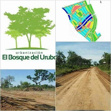 Terreno en VentaCALLE BEGONIAS AV SAN MATIN ZONA EQUIPETROL    Foto 2