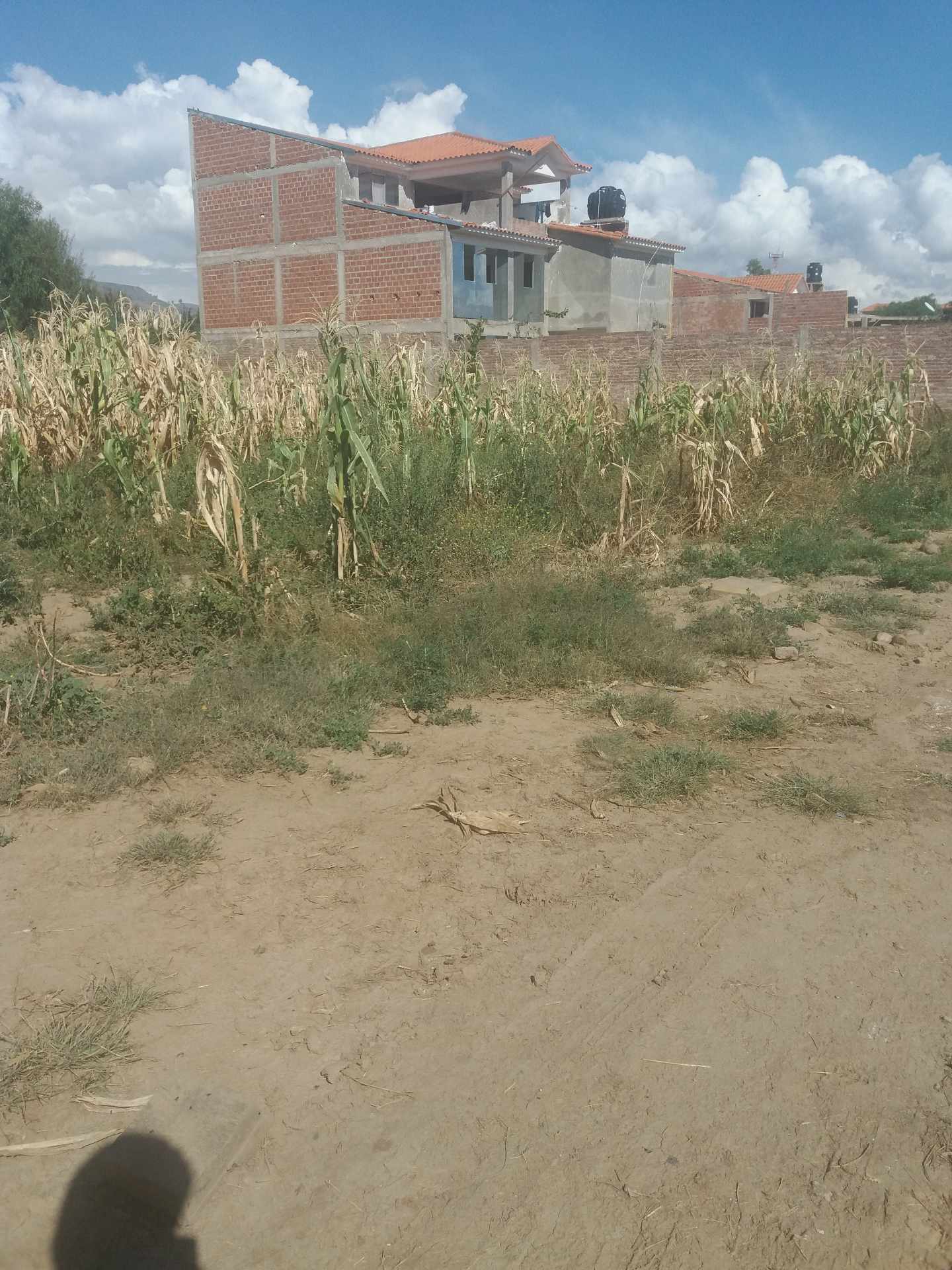 Terreno en VentaAV. PANAMERICANA ESQUINA COLEGIO SAN ANTONIO, CAMINO EN SENTIDO A MOLLE MOLLE; ZONA SUD PUCARA Foto 5