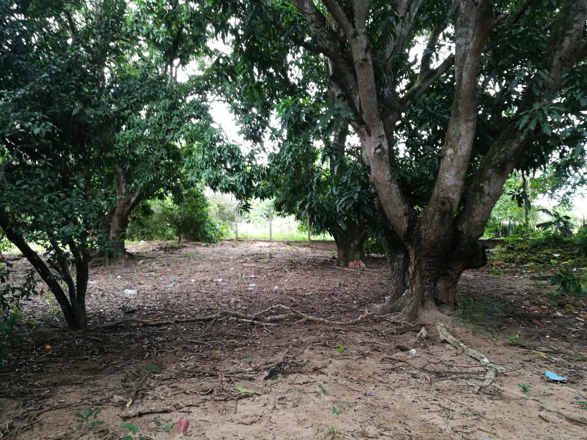 Terreno en Venta?TERRENO EN LA GUARDIA barrio “EL BIBOSI”    Foto 7