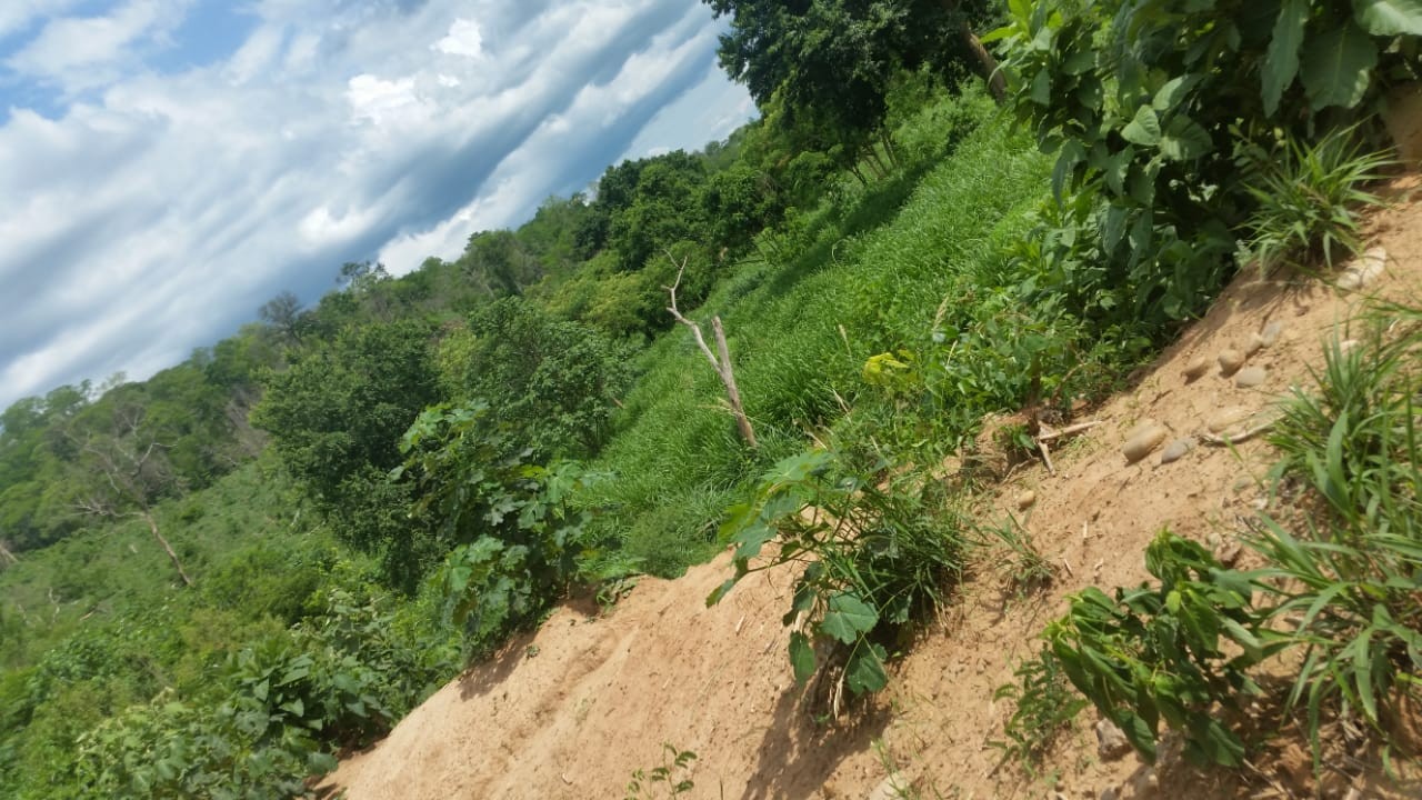 Terreno Abapo Foto 4