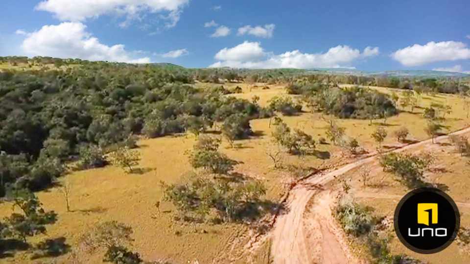 Quinta propiedad agrícola en VentaSOBRE CARRETERA A SAN JAVIER Foto 4