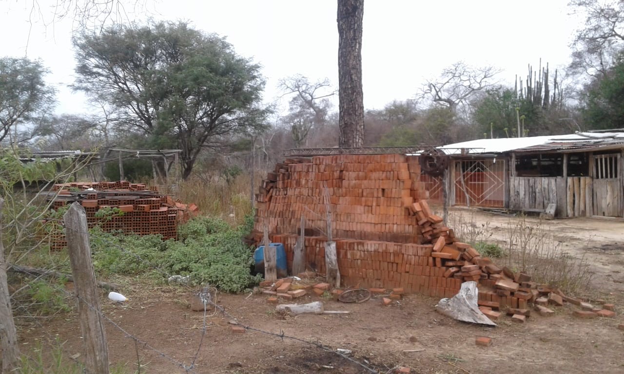 Terreno Vendo bonita propiedad de 100 hectáreas, en el km 100 pasando Mora Foto 4