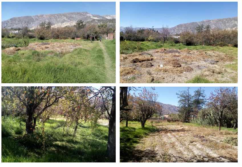 Terreno en Río Abajo en La Paz    Foto 4