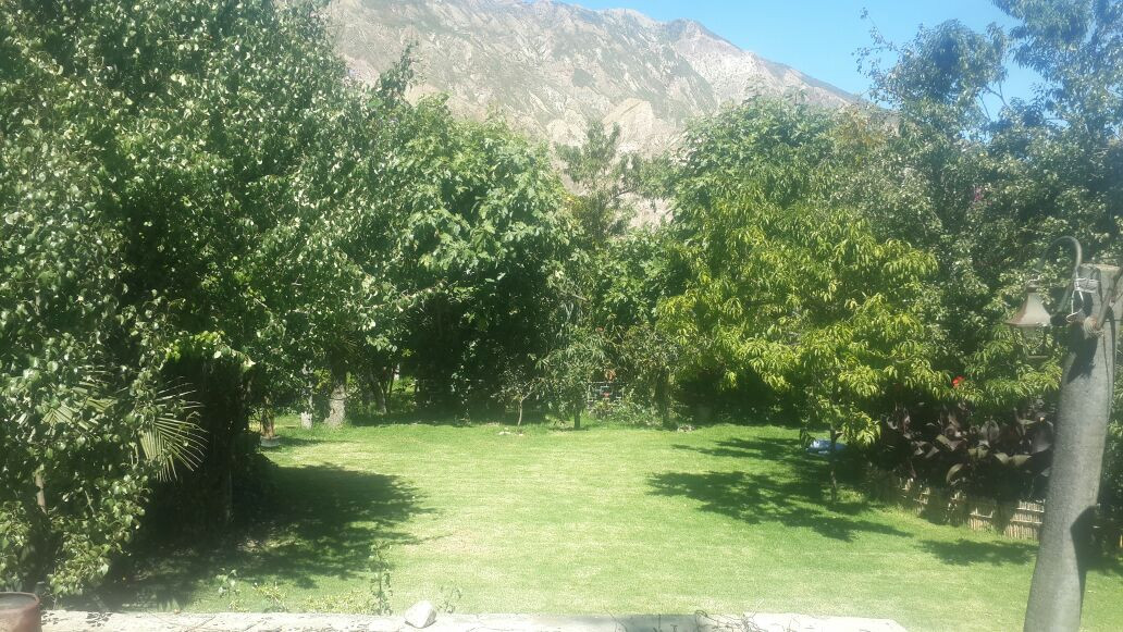 Casa EL PALOMAR Casa de Campo con arboles frutales a 50 minutos de la Zona Sur Foto 8