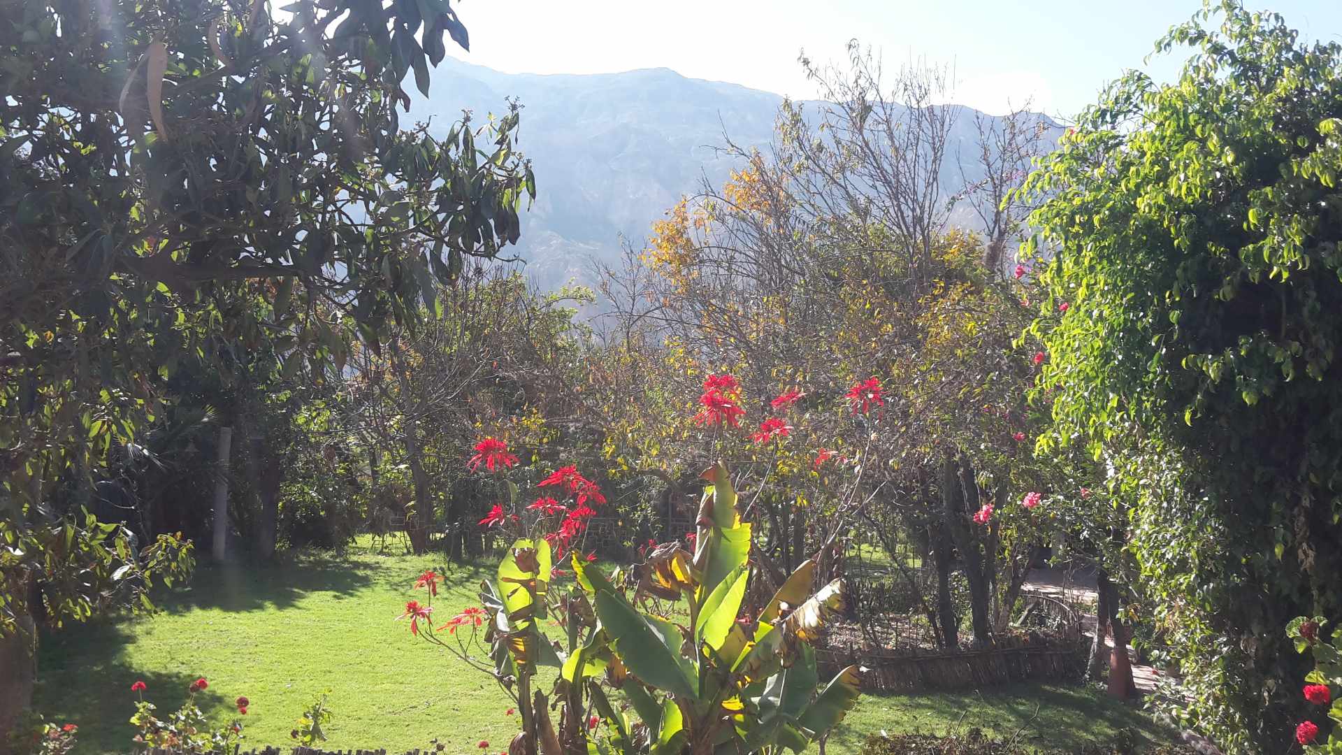 Casa EL PALOMAR Casa de Campo con arboles frutales a 50 minutos de la Zona Sur Foto 10