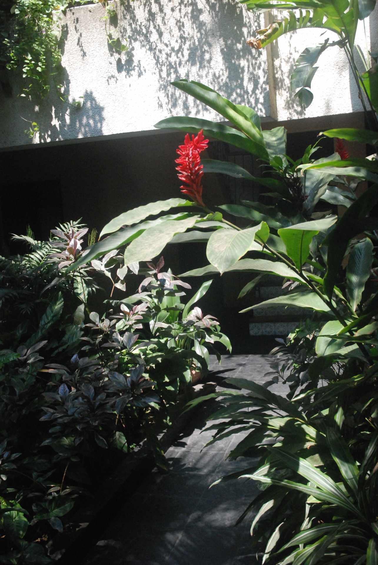 En Alquiler a $us 350 Foto 13