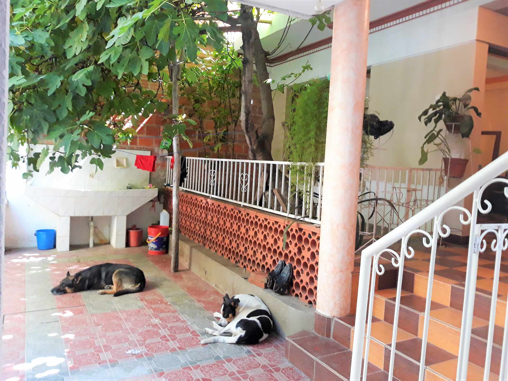 Casa en VentaUbicada en el Barrio Moto Méndez de la ciudad de Tarija. Bloque KP. 9 dormitorios 5 baños 2 parqueos Foto 16