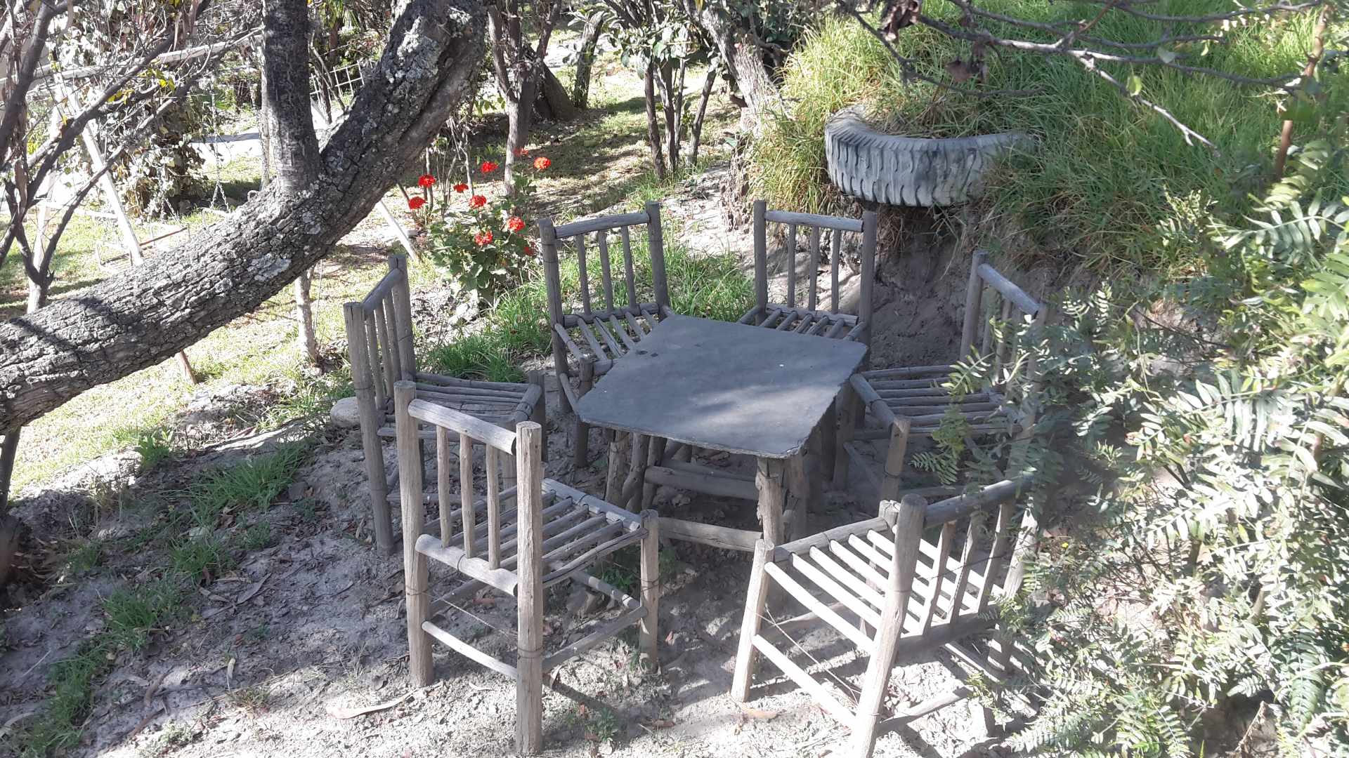 Casa EL PALOMAR Casa de Campo con arboles frutales a 50 minutos de la Zona Sur Foto 14