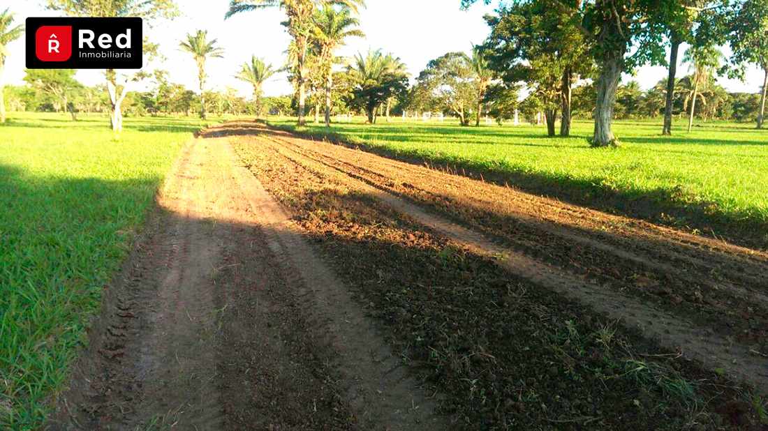 Terreno en VentaTERRENOS EN URB. CAMPESTRE PORONGUITO Foto 4