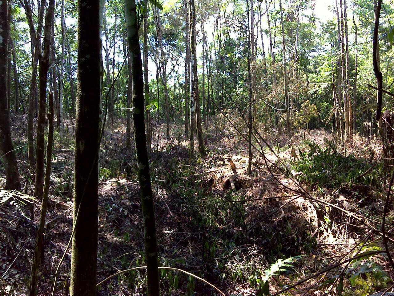 Terreno VILLA TUNARI Foto 5