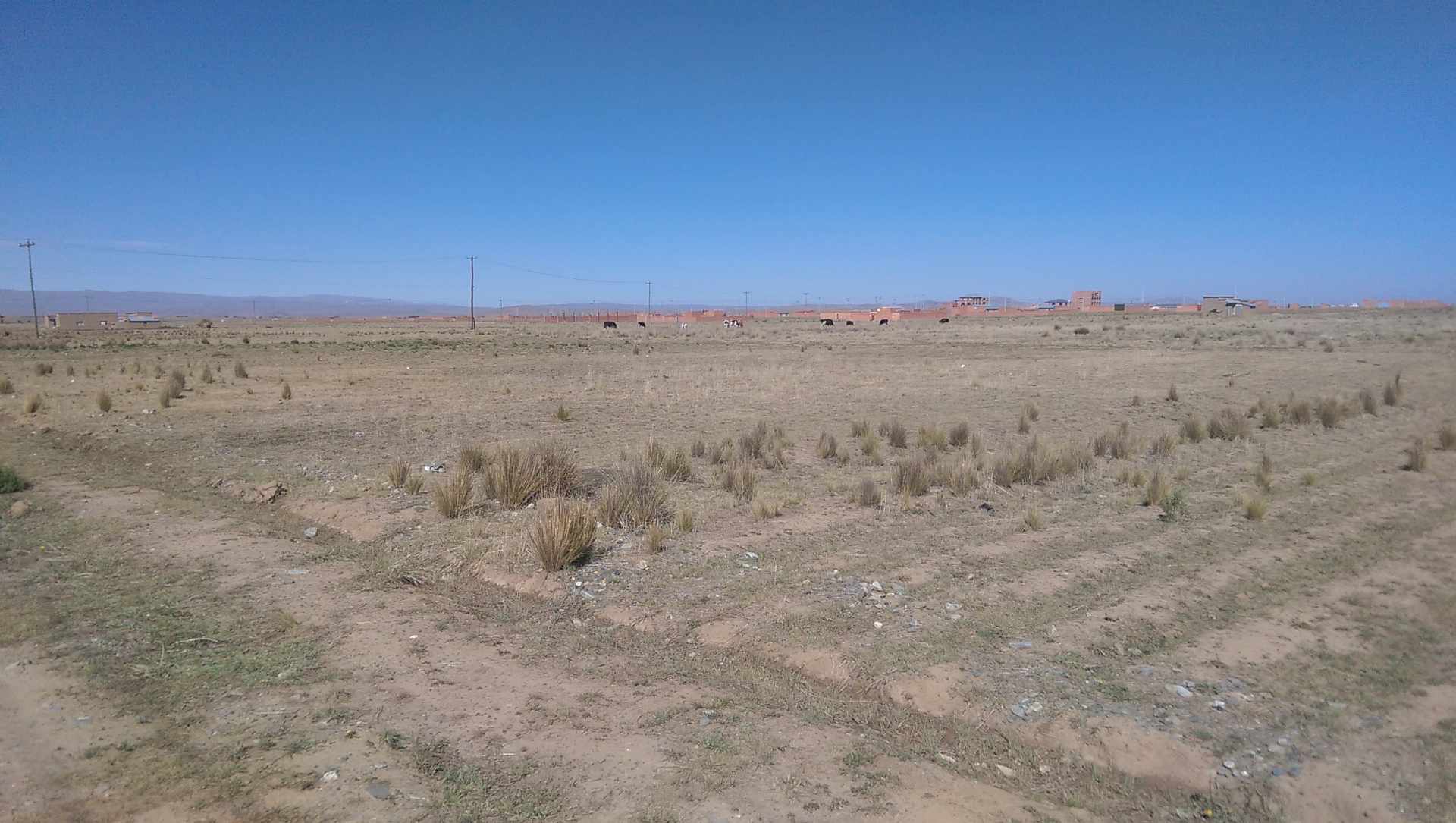Terreno Ciudad de El Alto zona Puchocollo Foto 7