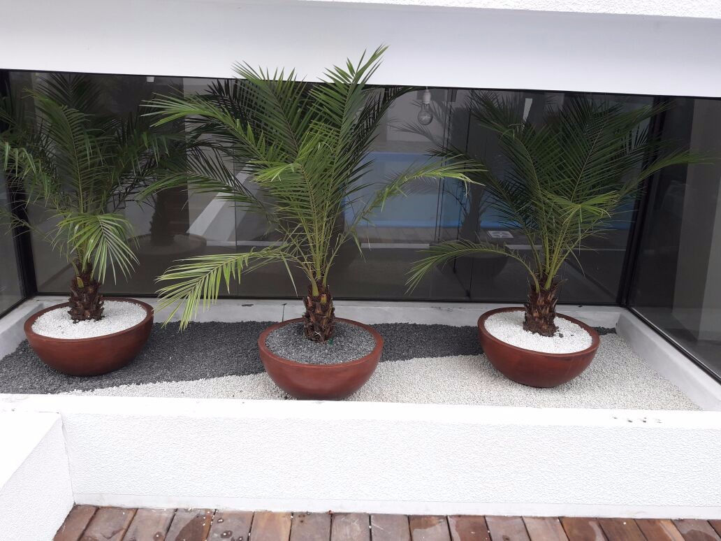 En Venta a $us 79,000 Foto 15