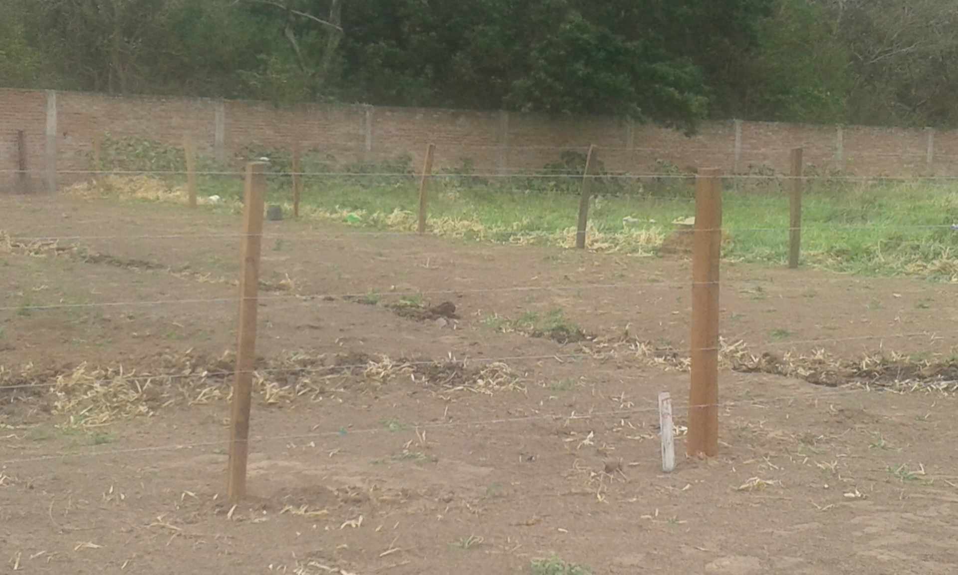 Terreno en VentaURBANIZACION ANDALUCIA KM. 5 1/2 CARRETERA A COTOCA, A 100 M DEL PAVIMENTO, (LA ZONA DEL FUTURO EN SANTA CRUZ), A CUADRAS DEL PARQUE ECOLOGICO, Foto 6