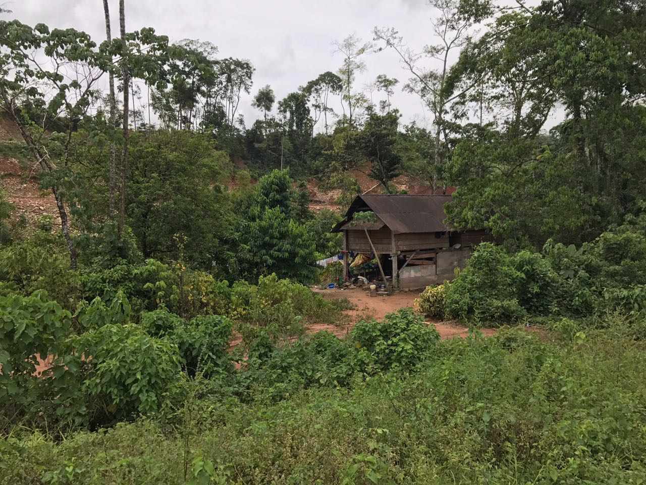 Terreno VILLA TUNARI Foto 3