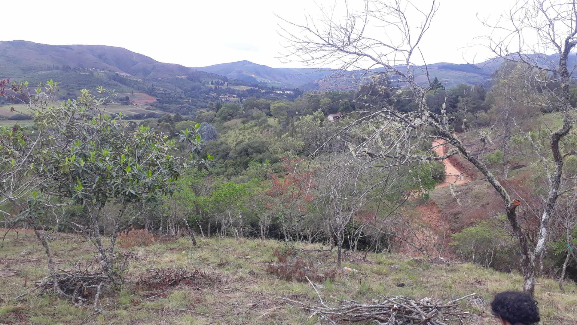 Terreno en VentaA 2km. del pueblo de Samaipata por zona Cabañera     Foto 6