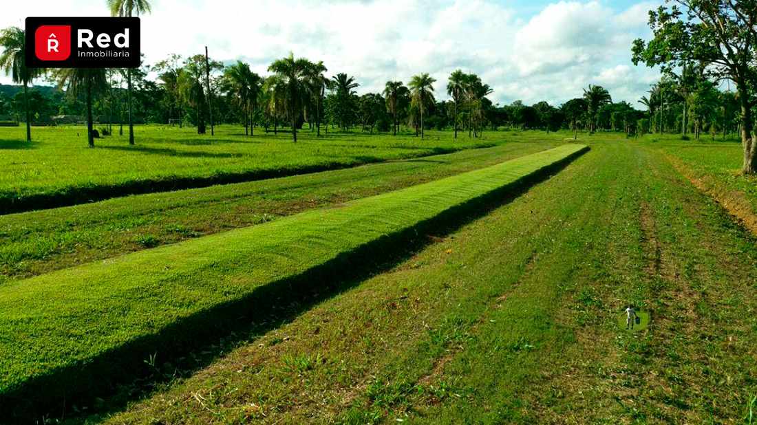 Terreno en VentaTERRENOS EN URB. CAMPESTRE PORONGUITO Foto 3