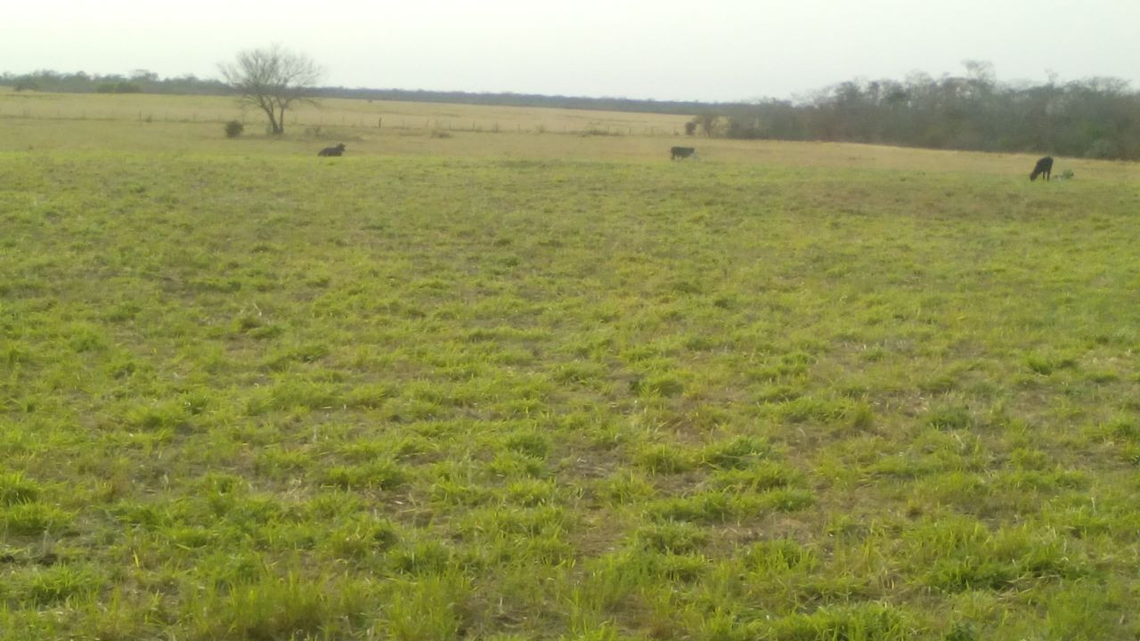 En Venta a $us 1,290,000 Foto 9