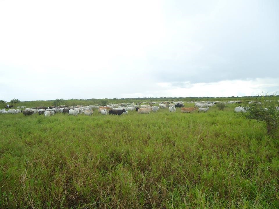 Terreno en VentaTrinidad, Beni Foto 3