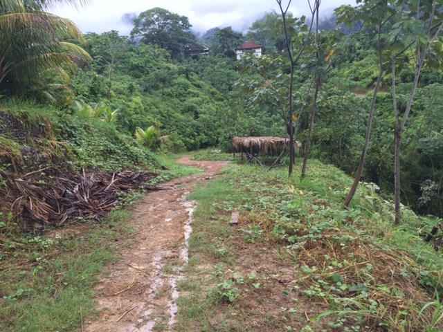 Terreno en VentaBeni, Rurrenabaque, Zona Villa Lourdes (Mirador)     Foto 1