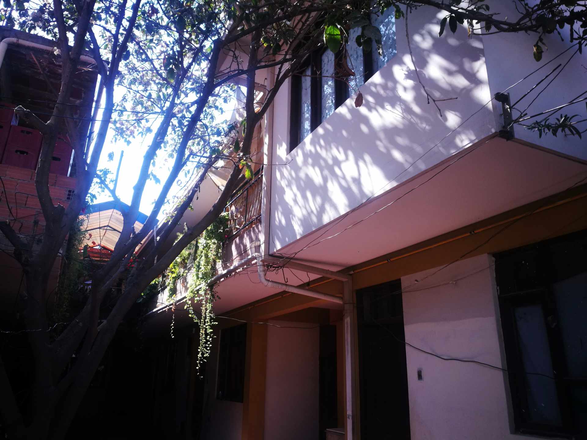 Casa en La Chimba en Cochabamba 18 dormitorios 3 baños 2 parqueos Foto 5
