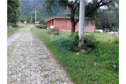 Terreno en Zona Campesino en Tarija    Foto 4