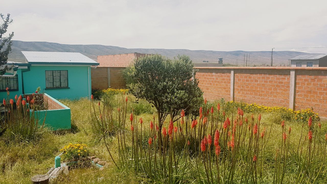 Casa en VentaCasa en Venta en el poblado de TIWANAKU - Tiahuanaco 3 dormitorios 1 baños 3 parqueos Foto 4