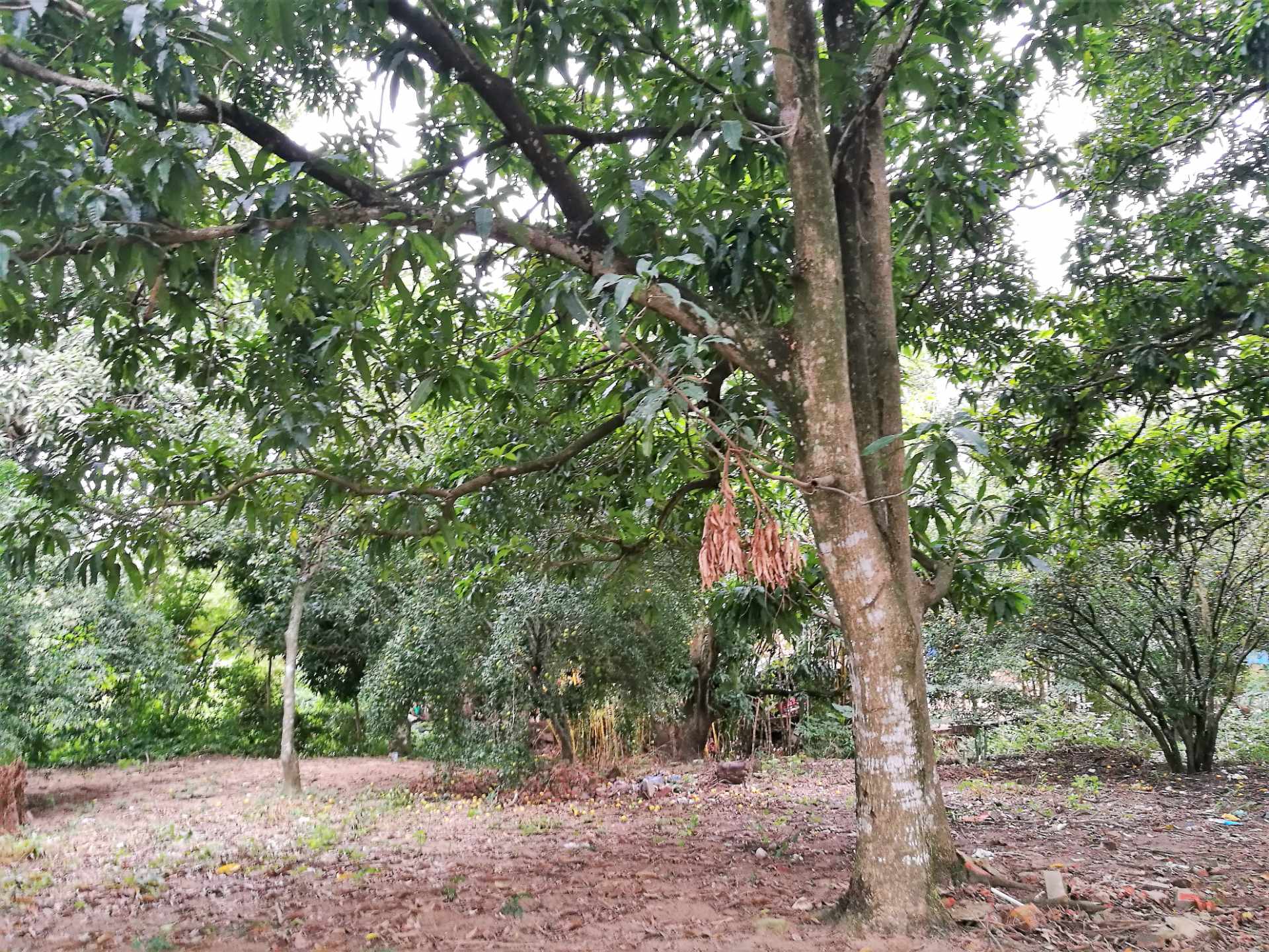Terreno en Venta?TERRENO EN LA GUARDIA barrio “EL BIBOSI”    Foto 10