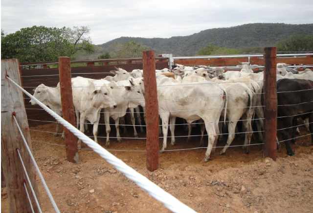 Terreno en VentaPropiedad ganadera en San Javier, 24km al oeste camino hacia El Puente    Foto 19