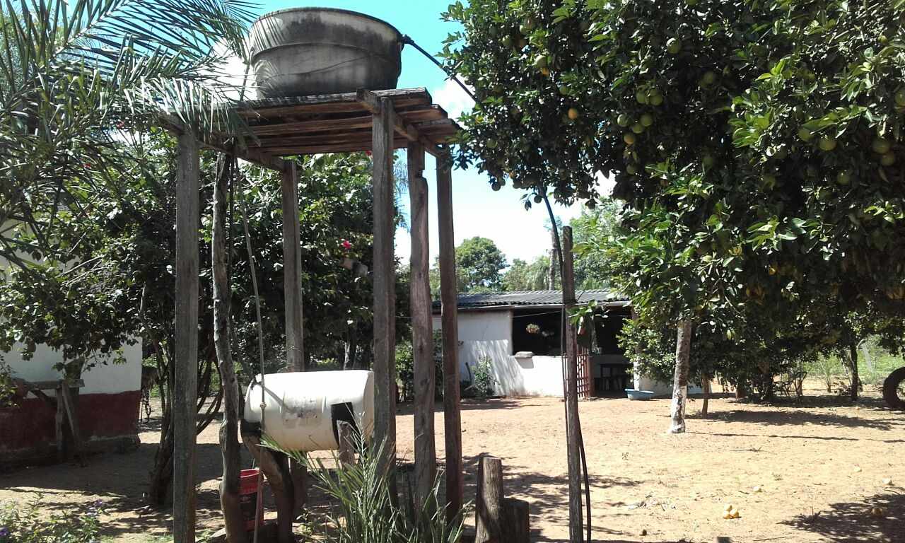 Terreno en VentaA 60 Km al Sur de Roboré Foto 4