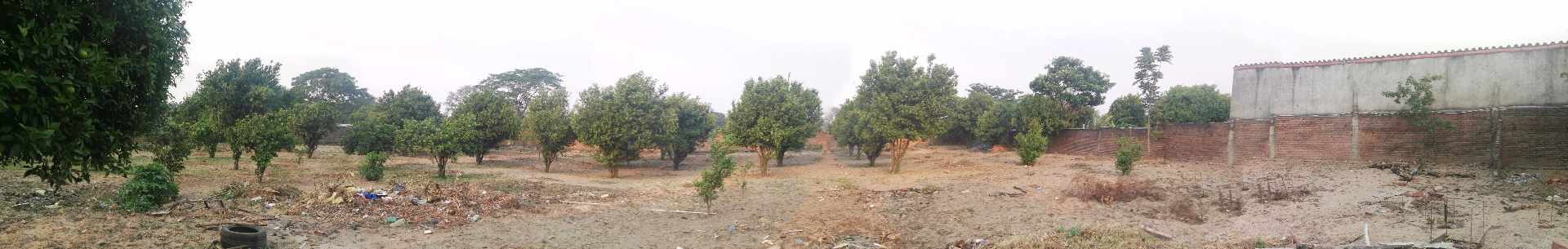 Terreno en Doble vía La Guardia en Santa Cruz de la Sierra    Foto 10