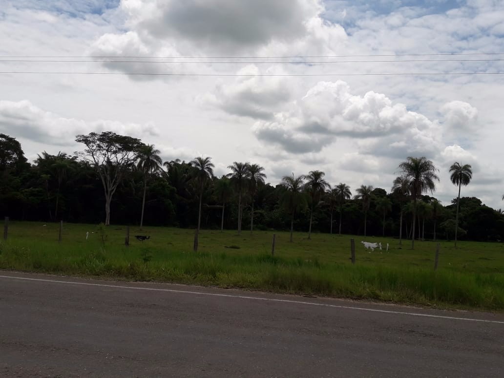 Terreno en VentaWarnes    Foto 6