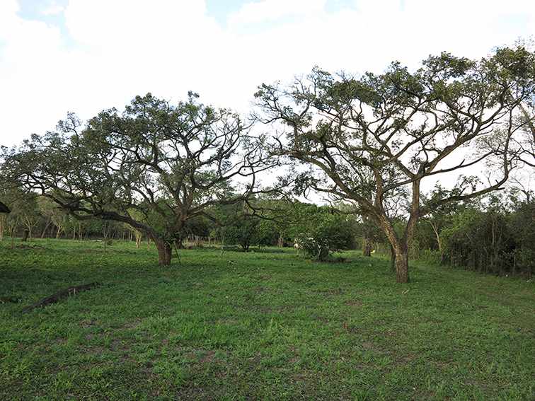 Quinta propiedad agrícola en VentaLa Guardia a 500 m de la Doble vía La Guardia    Foto 6