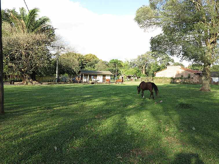 Quinta propiedad agrícola en VentaLa Guardia a 500 m de la Doble vía La Guardia    Foto 15