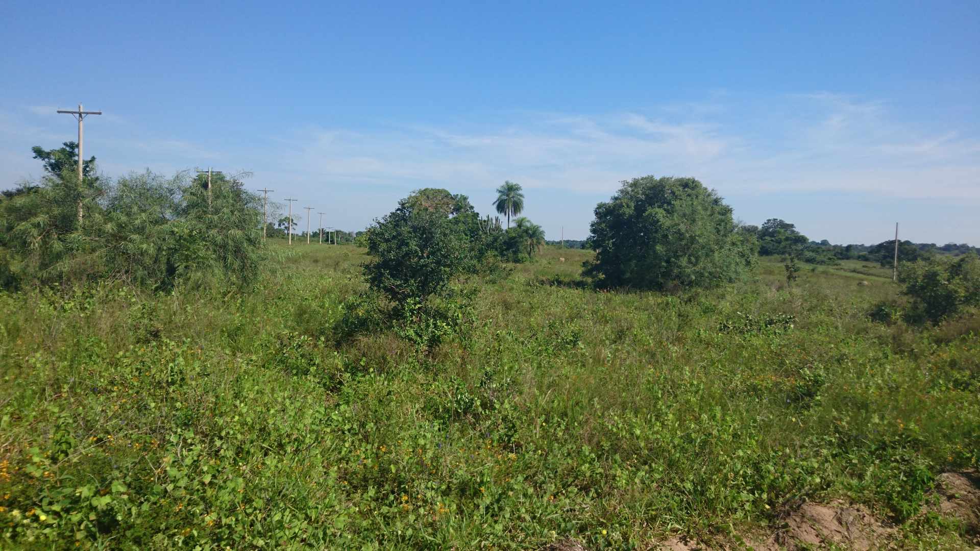 Terreno en VentaUrbanización CIUDAD del URUBO.    Foto 9