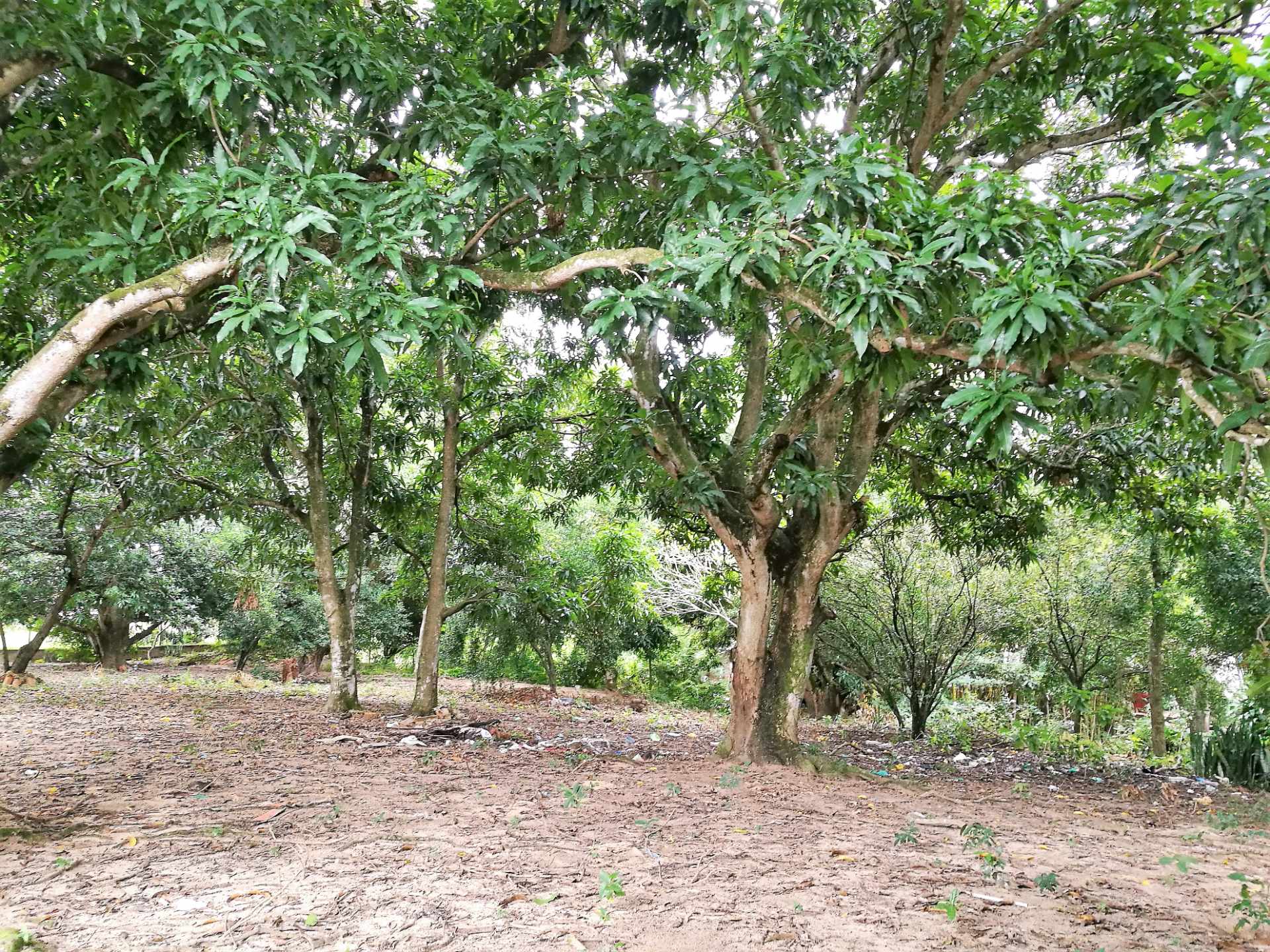 Terreno en Venta?TERRENO EN LA GUARDIA barrio “EL BIBOSI”    Foto 13