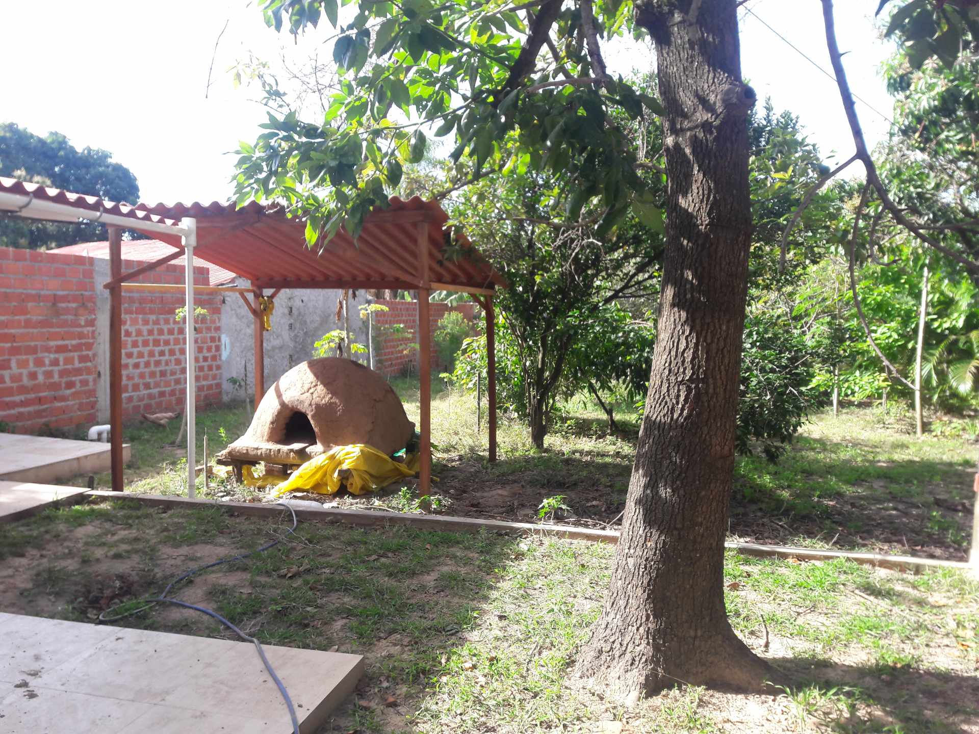 Casa Calle Virgen de Asunción Nro 125, Barrio Aguilera Foto 16