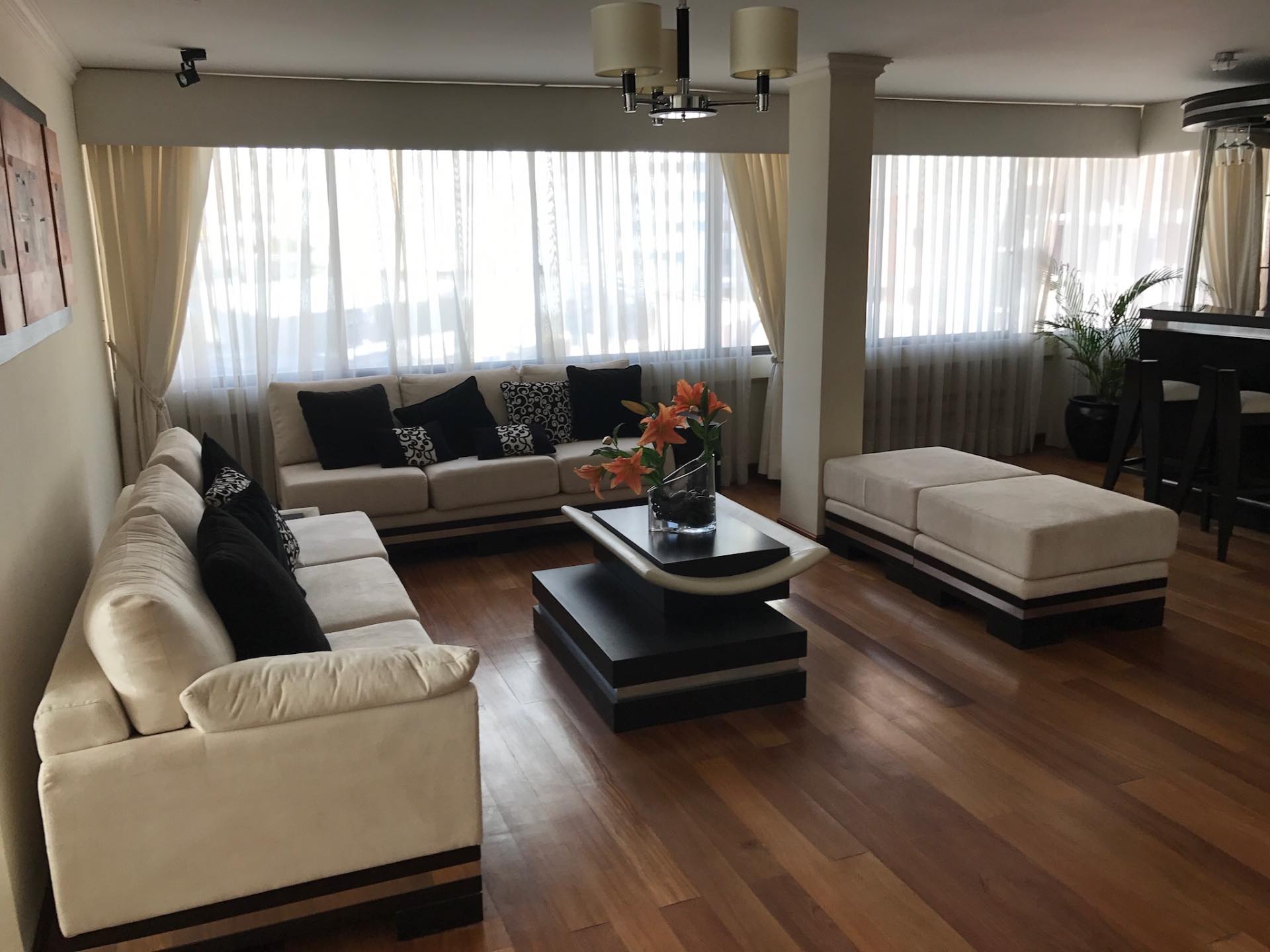 Departamento Venta en dólares. Oportunidad única
Calle 23 calacoto esquina Gabino Villanueva. Foto 17