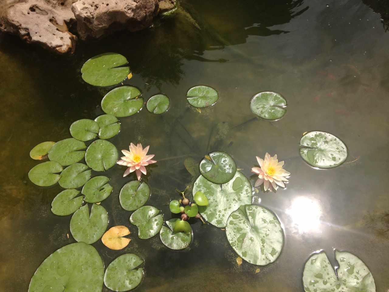 Casa Condominio Asai 1, Km 9 1/2 Doble Via La Guardia Foto 8