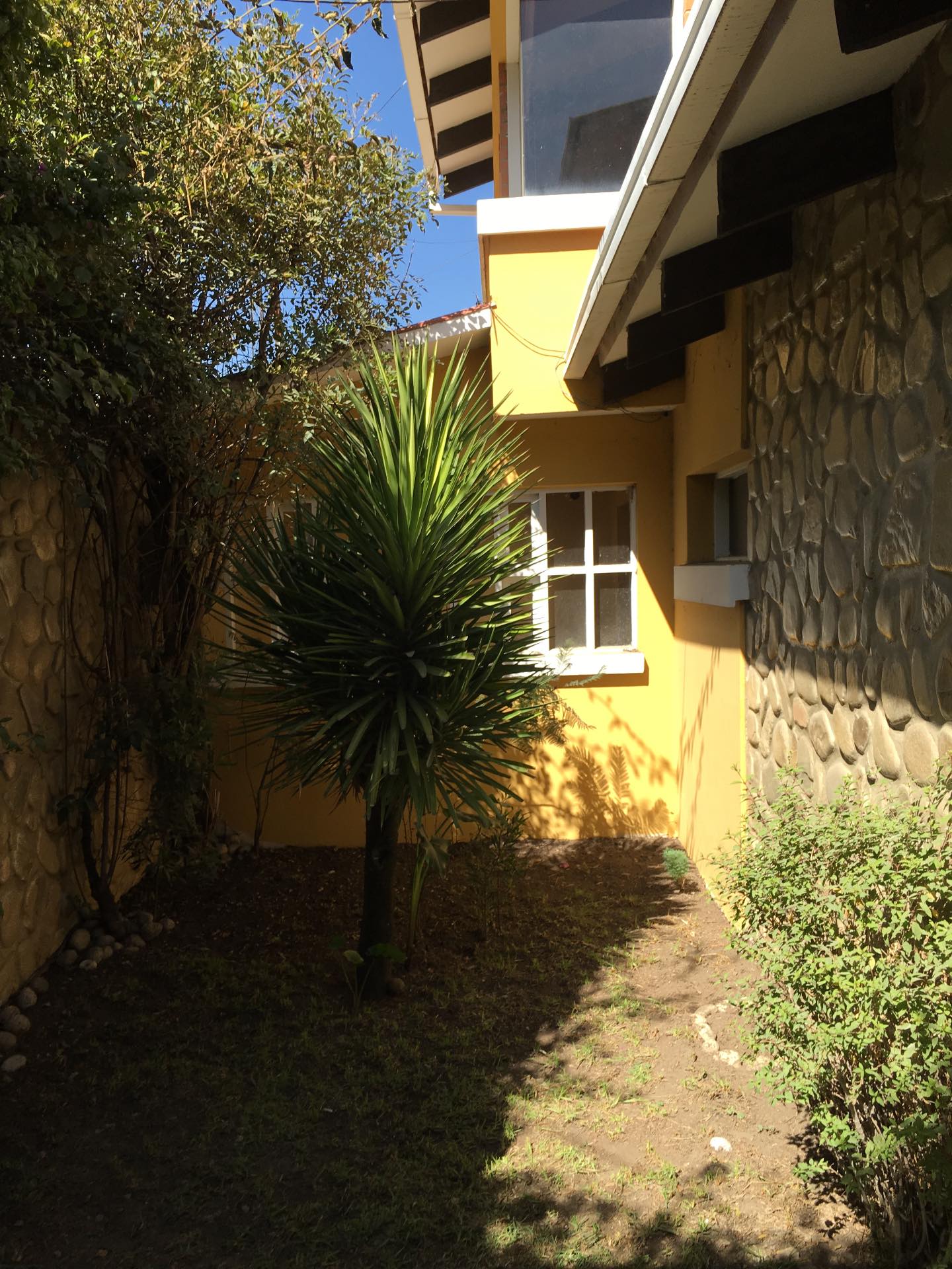 Casa Koani, Av. Muñoz Reyes, entre Calle 8 y 9 Foto 16