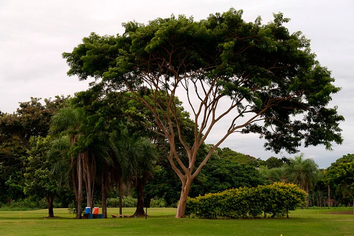 Casa en Carretera Norte en Santa Cruz de la Sierra 4 dormitorios 4 baños 2 parqueos Foto 6